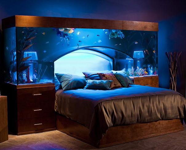 bedroom aquarium
